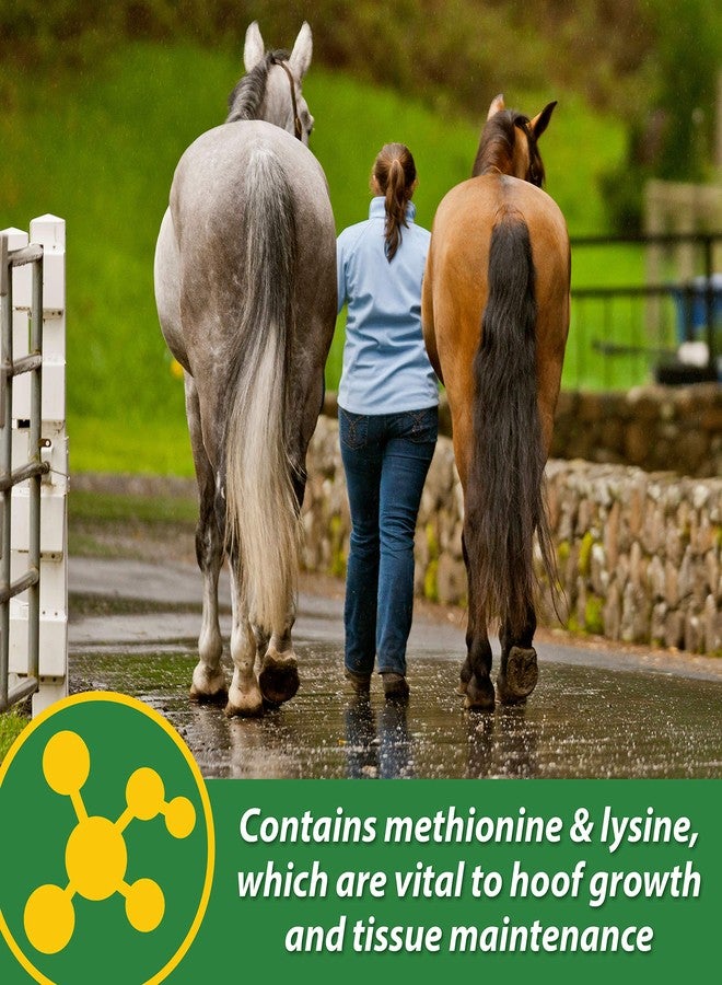 Farnam HB 15 Hoof Supplement, Supports healthy hoof growth 3 pound, 48 Day Supply - Image 5